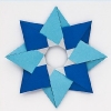 Robin Star